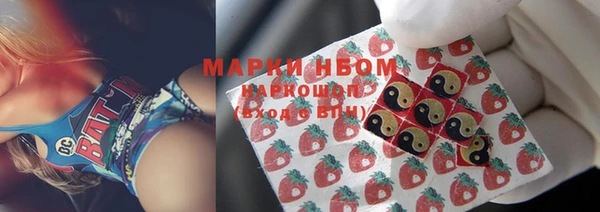 шишки Саяногорск
