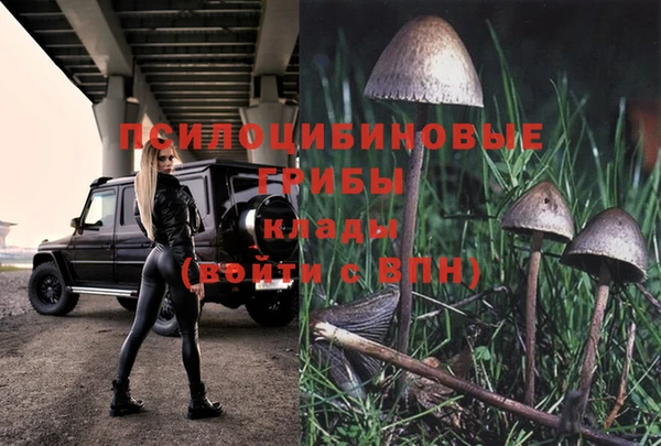 эйфоретик Белокуриха